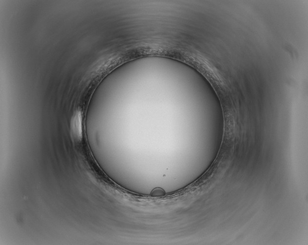 X0000112370022200908271328