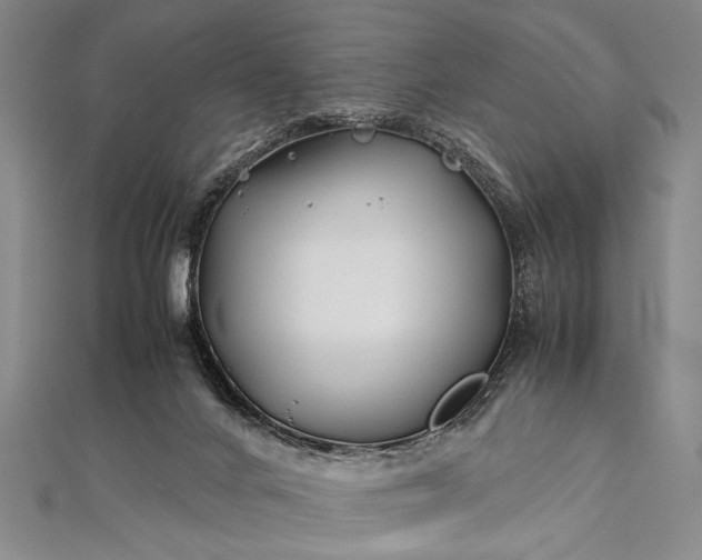 X0000112370024200908271328