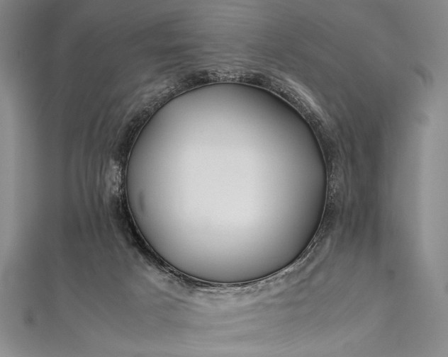 X0000112370025200908271327