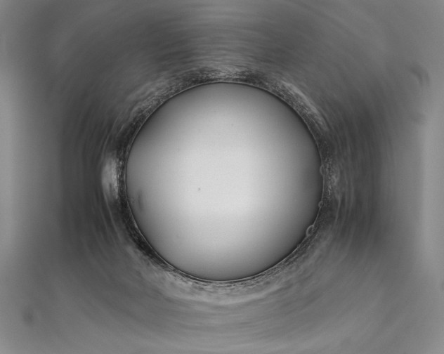 X0000112370026200908271327