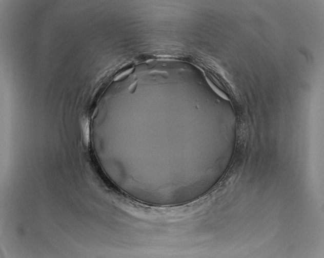 X0000112370027200908271327