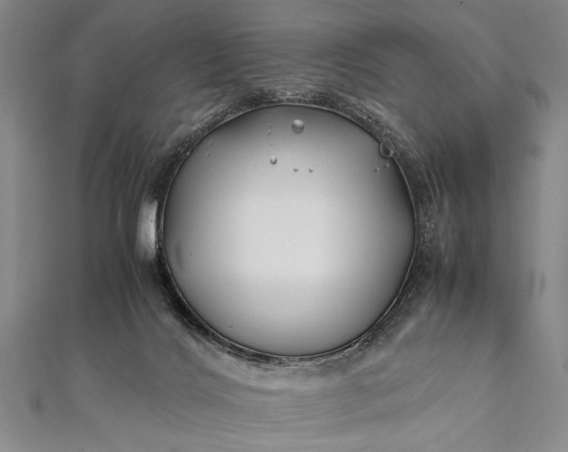 X0000112370028200908271327