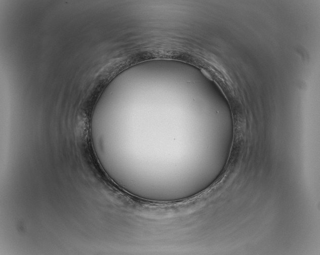 X0000112370029200908271327