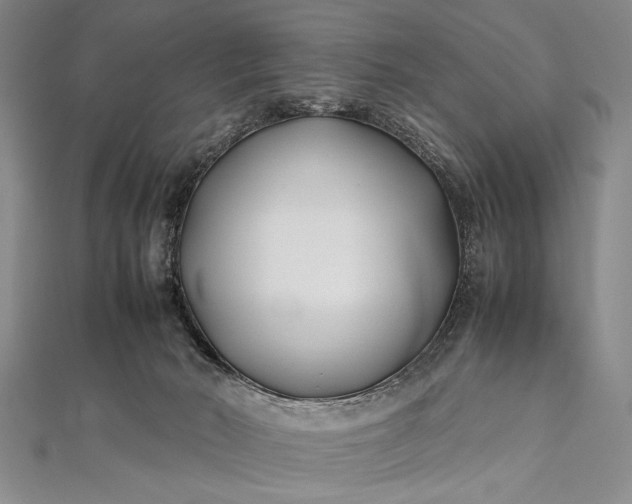 X0000112370030200908271327