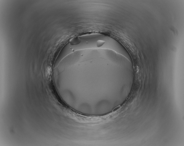 X0000112370031200908271327