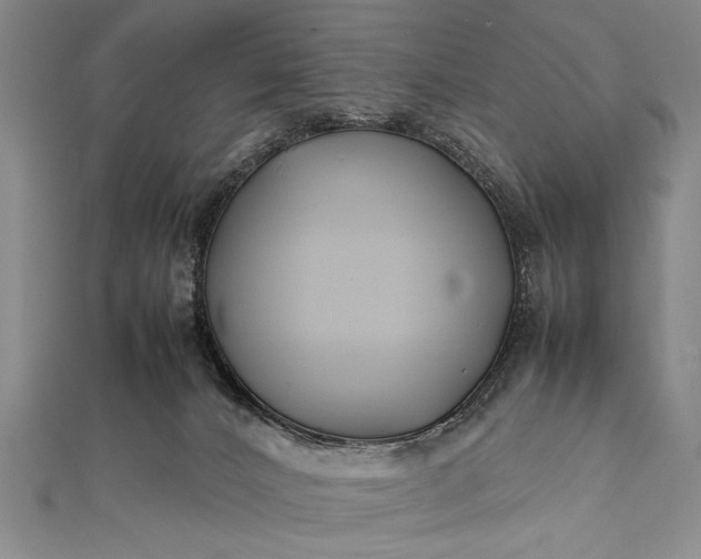 X0000112370032200908271327