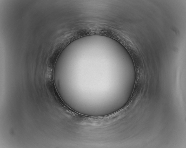 X0000112370033200908271327