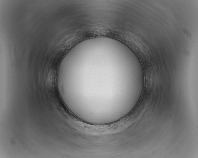 X0000112370034200908271327