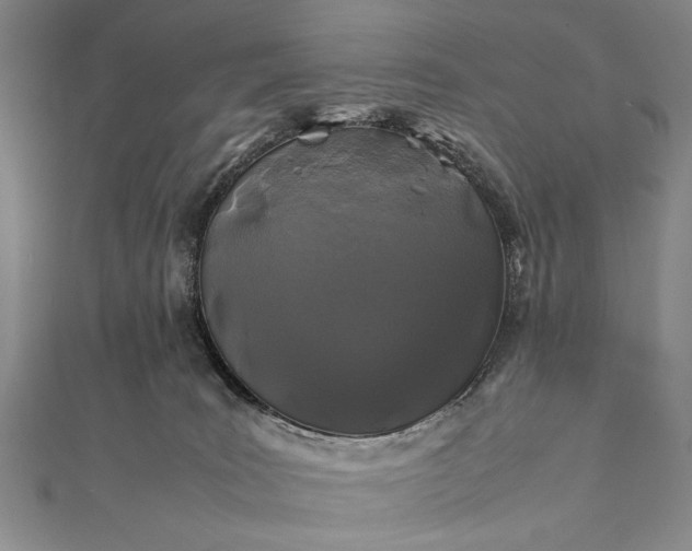 X0000112370035200908271327