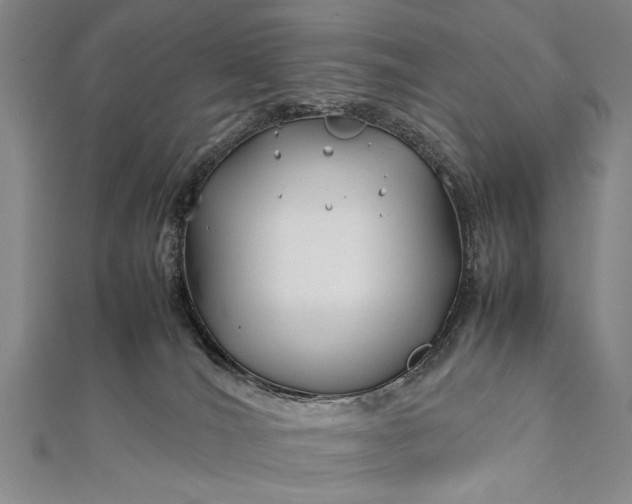 X0000112370036200908271327