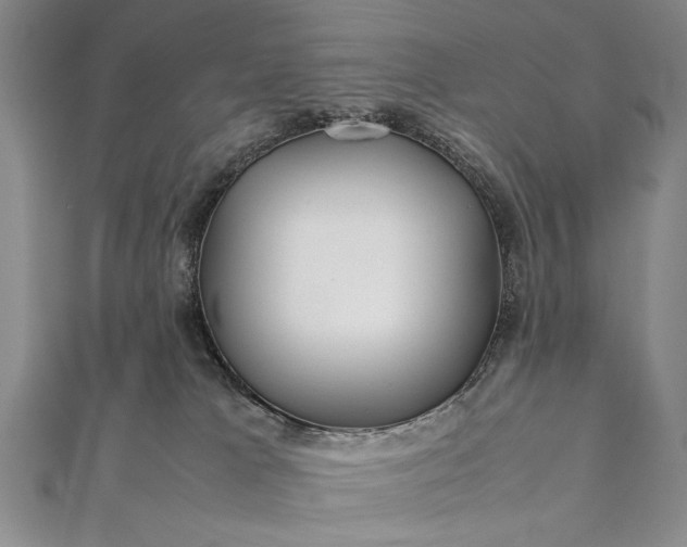 X0000112370037200908271327