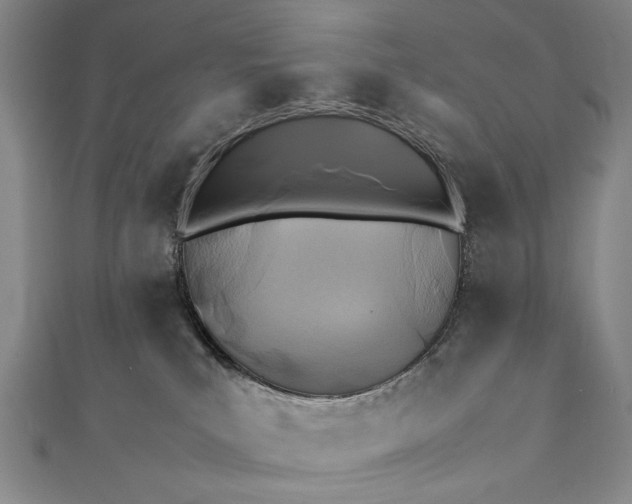 X0000112370039200908271327