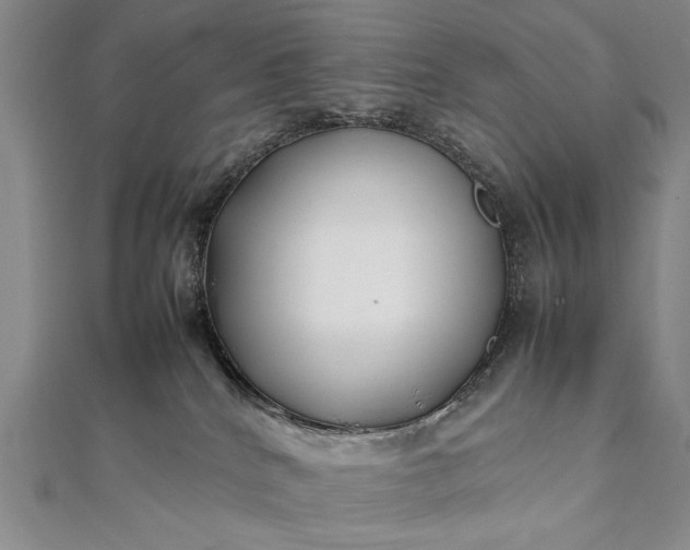 X0000112370040200908271327