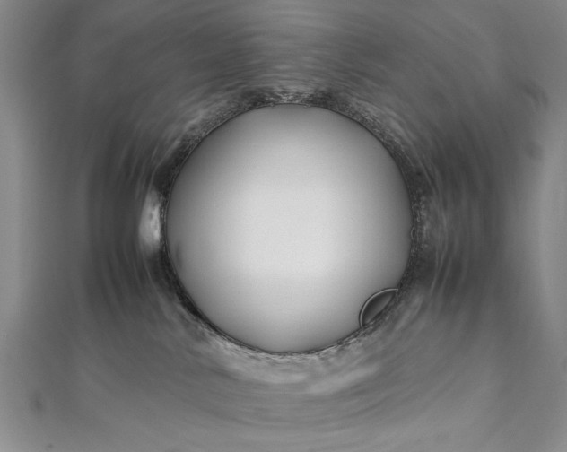 X0000112370042200908271327