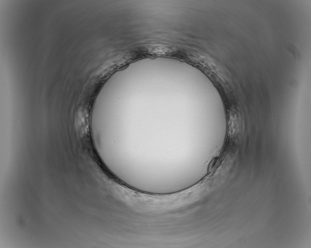 X0000112370043200908271327