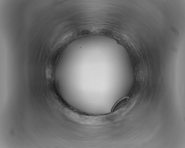 X0000112370044200908271327