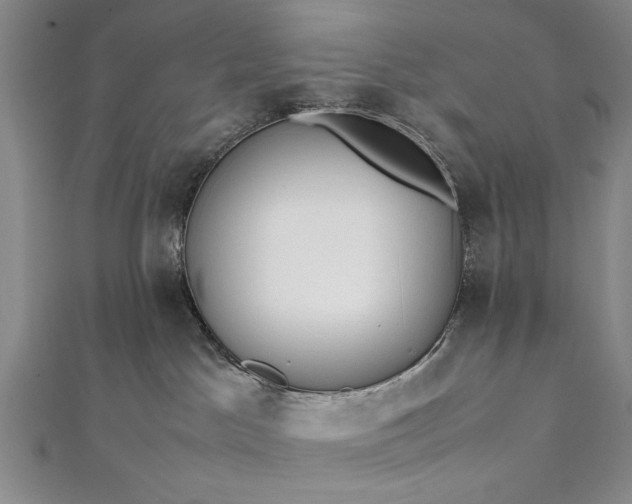 X0000112370045200908271327