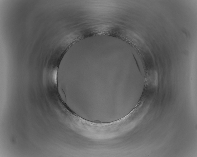 X0000112370047200908271327