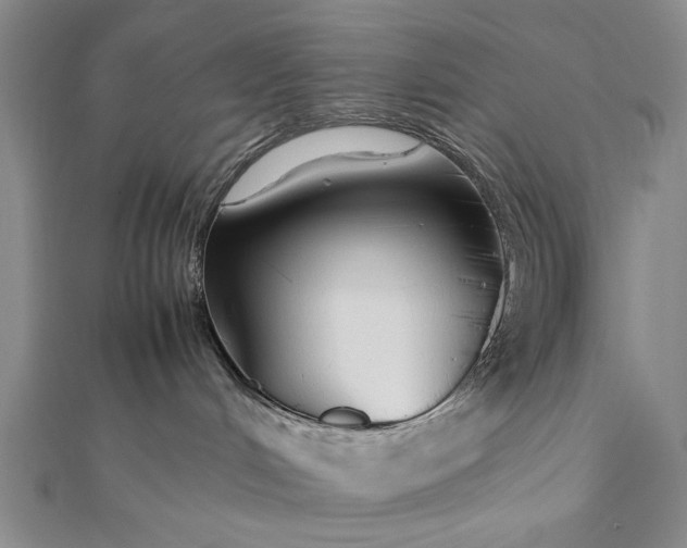 X0000112370048200908271327