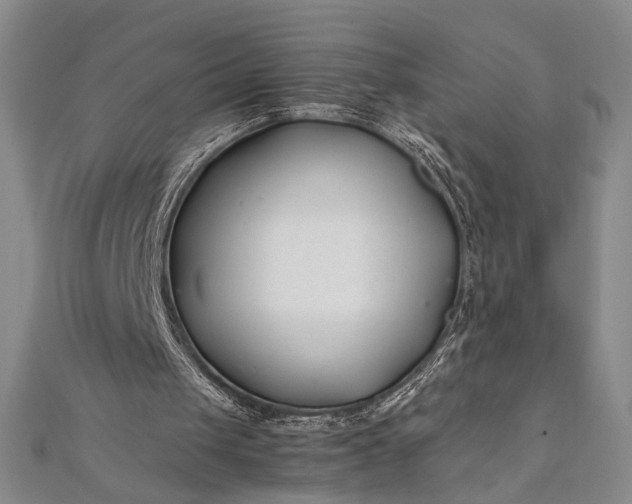 X0000112370049200908271327