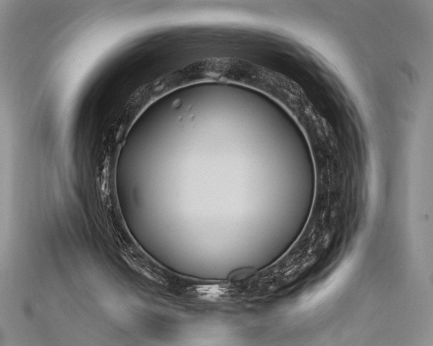 X0000112370050200908271327