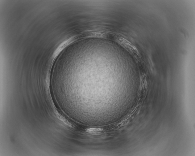 X0000112370051200908271327