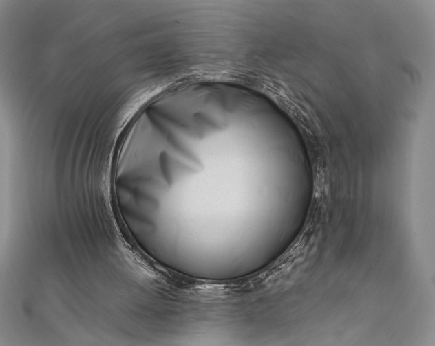 X0000112370052200908271327