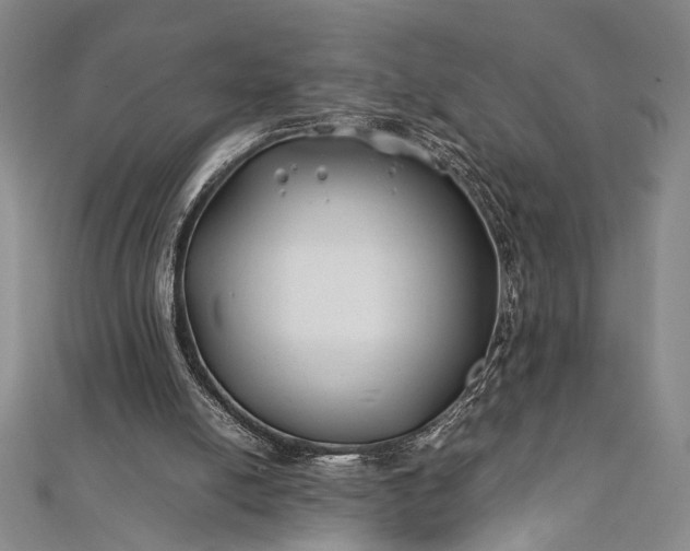 X0000112370054200908271327