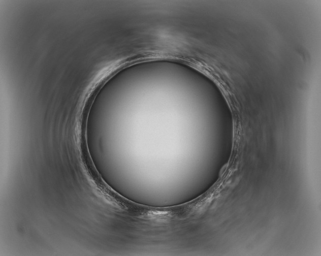 X0000112370055200908271327