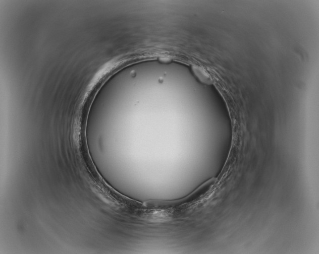 X0000112370056200908271327