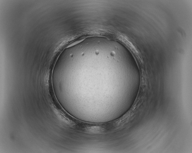 X0000112370058200908271327