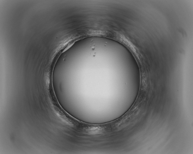 X0000112370059200908271327