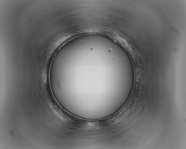 X0000112370060200908271327