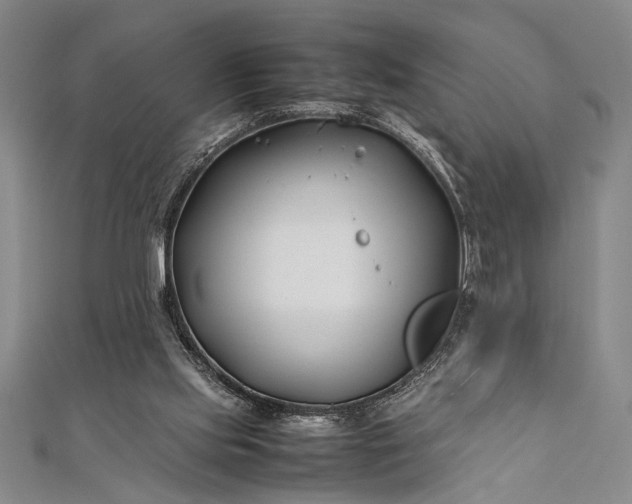 X0000112370061200908271327