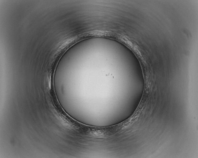 X0000112370062200908271327