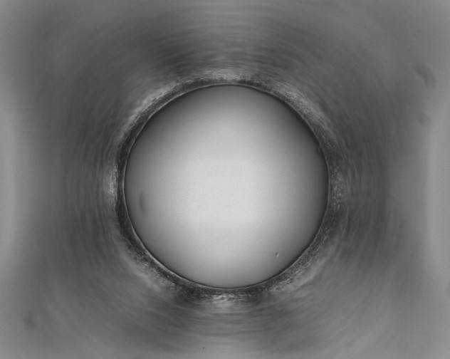 X0000112370064200908271327