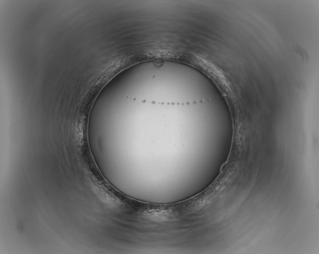 X0000112370065200908271327