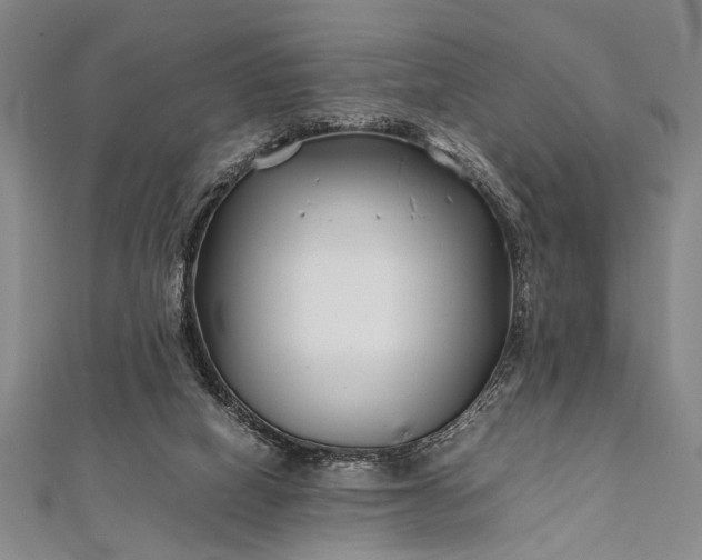 X0000112370066200908271327