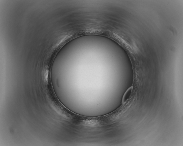 X0000112370067200908271327