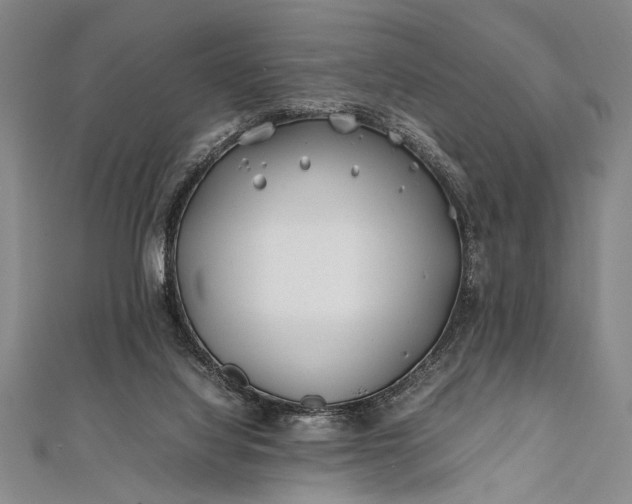 X0000112370068200908271327