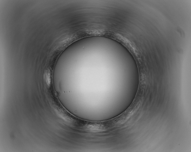 X0000112370069200908271327