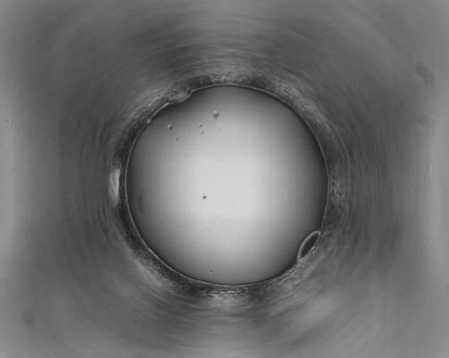 X0000112370070200908271327