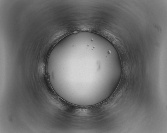 X0000112370071200908271327