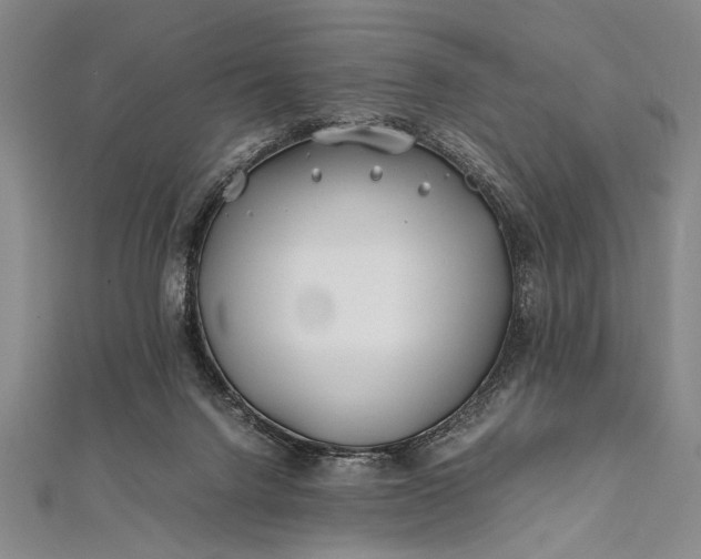 X0000112370072200908271327