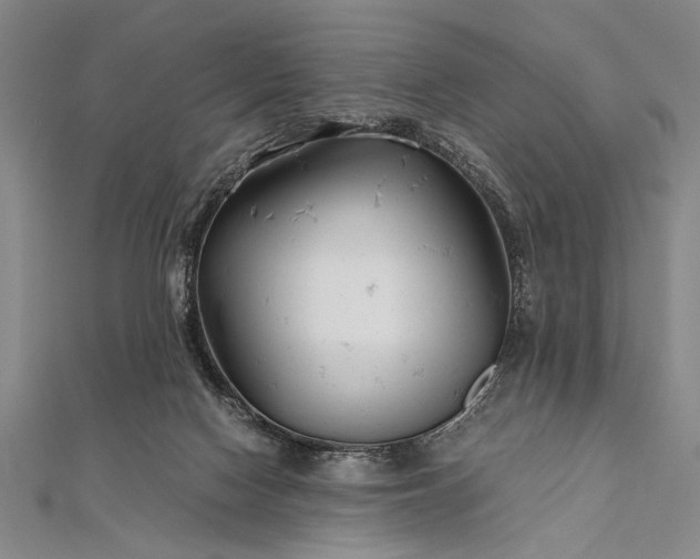 X0000112370074200908271327