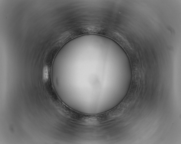 X0000112370075200908271327