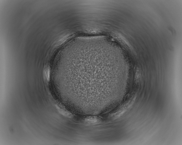 X0000112370076200908271327