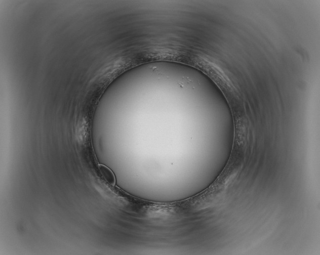 X0000112370077200908271327