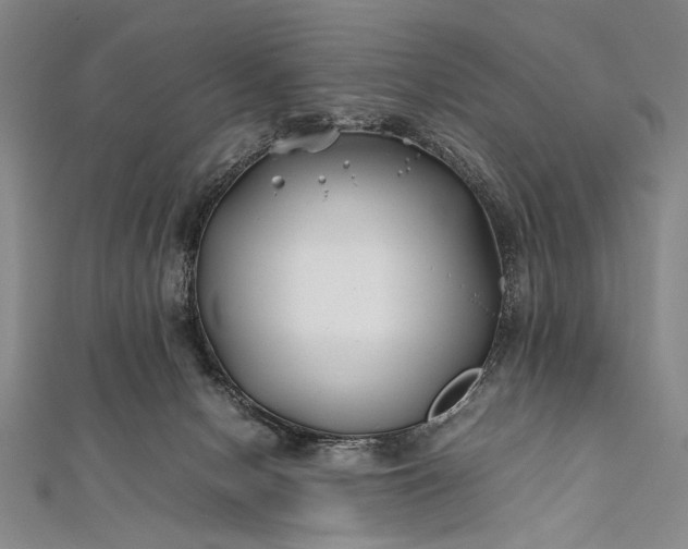 X0000112370078200908271327