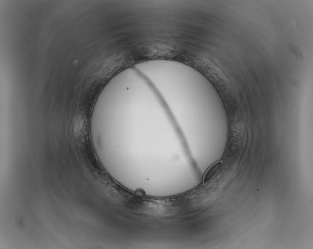 X0000112370079200908271327